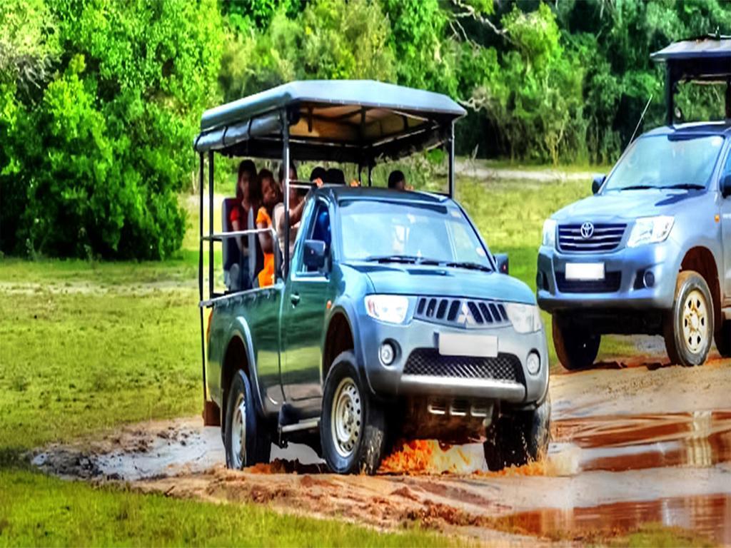 Nature Resort - Yala Safari Village Тисамахарама Екстериор снимка
