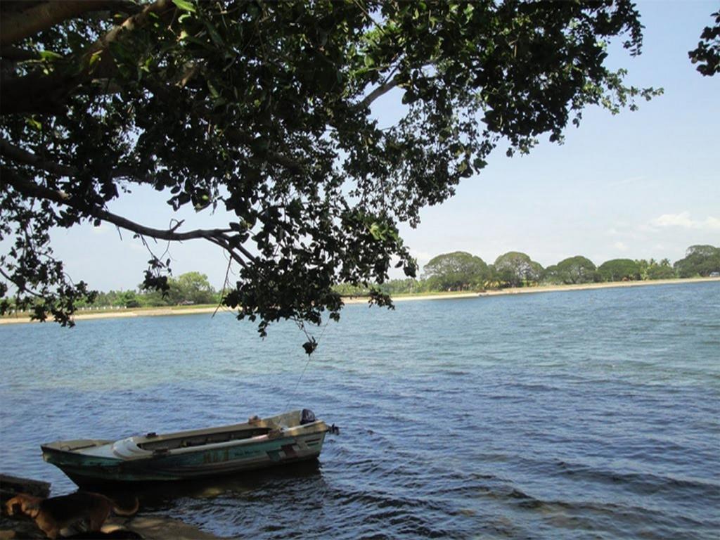 Nature Resort - Yala Safari Village Тисамахарама Екстериор снимка