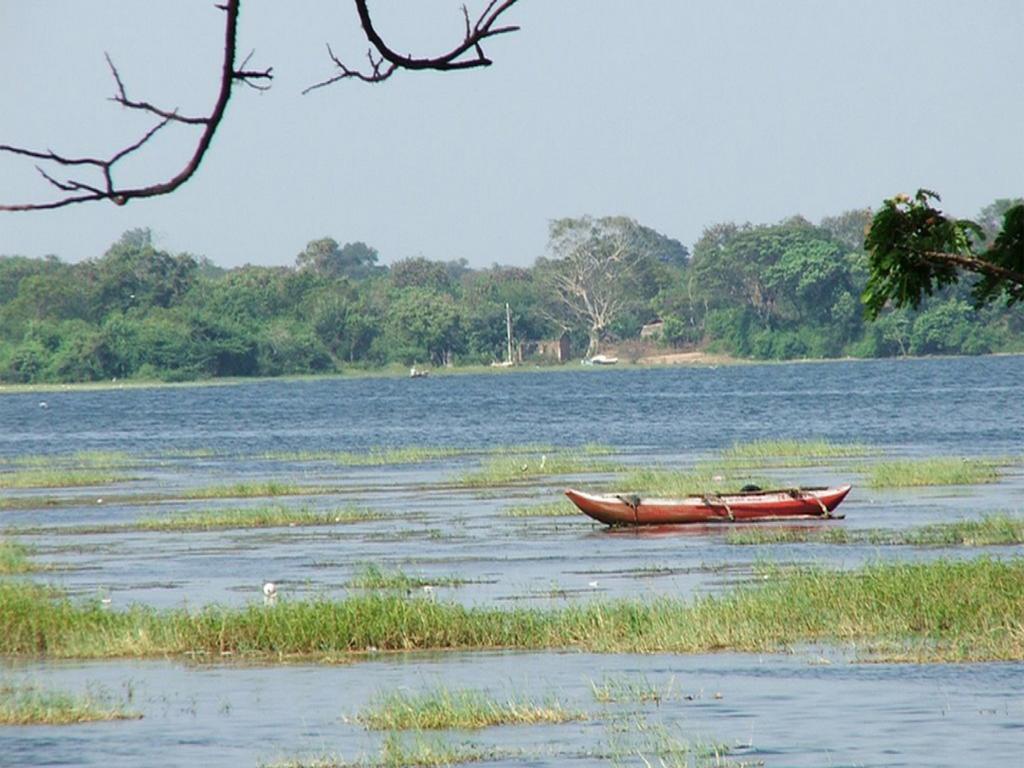 Nature Resort - Yala Safari Village Тисамахарама Екстериор снимка